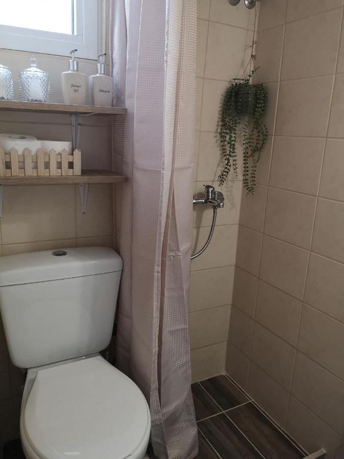 Bohemian Loft With View! Apartment Волос Екстериор снимка